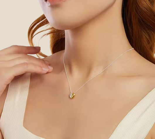 Collar Corazón Bicolor